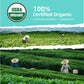 Essencesip Organic Jasmine Green Tea Loose Leaf  4oz Tin - Scented 5x with 6 000 Fresh Jasmine Blossoms  Low Caffeine  Antioxidant-Rich