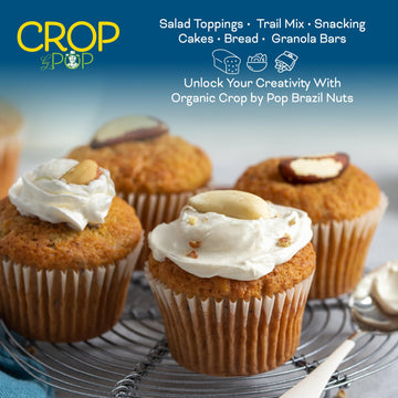 Nut Cravings Organic Raw Brazil Nuts - 16 Oz (1 LB) Resealable Bag, Non-GMO, Vegan, Kosher