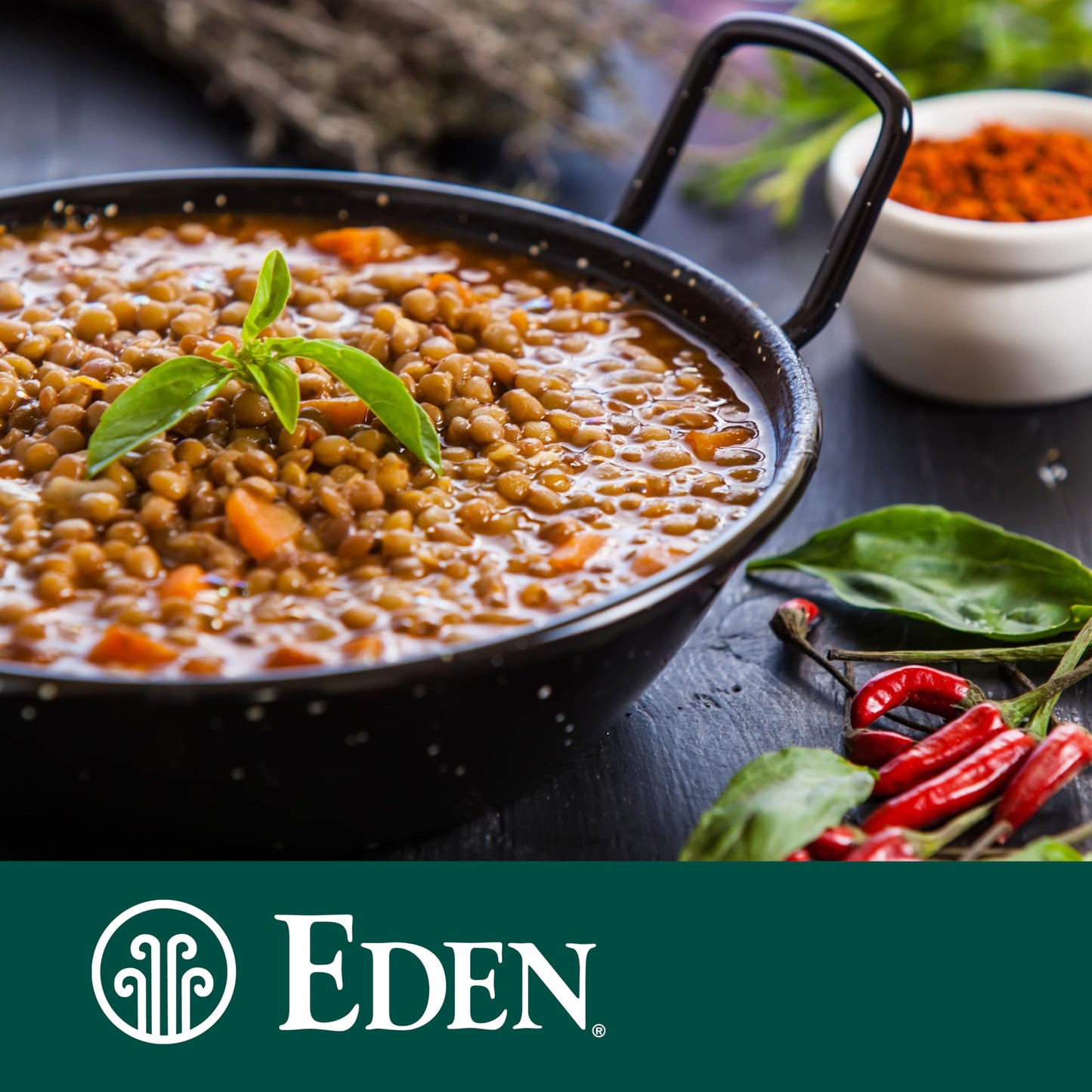 Eden Organic Green Lentils, Dry, Usa Grown, 16 Oz (1Lb)