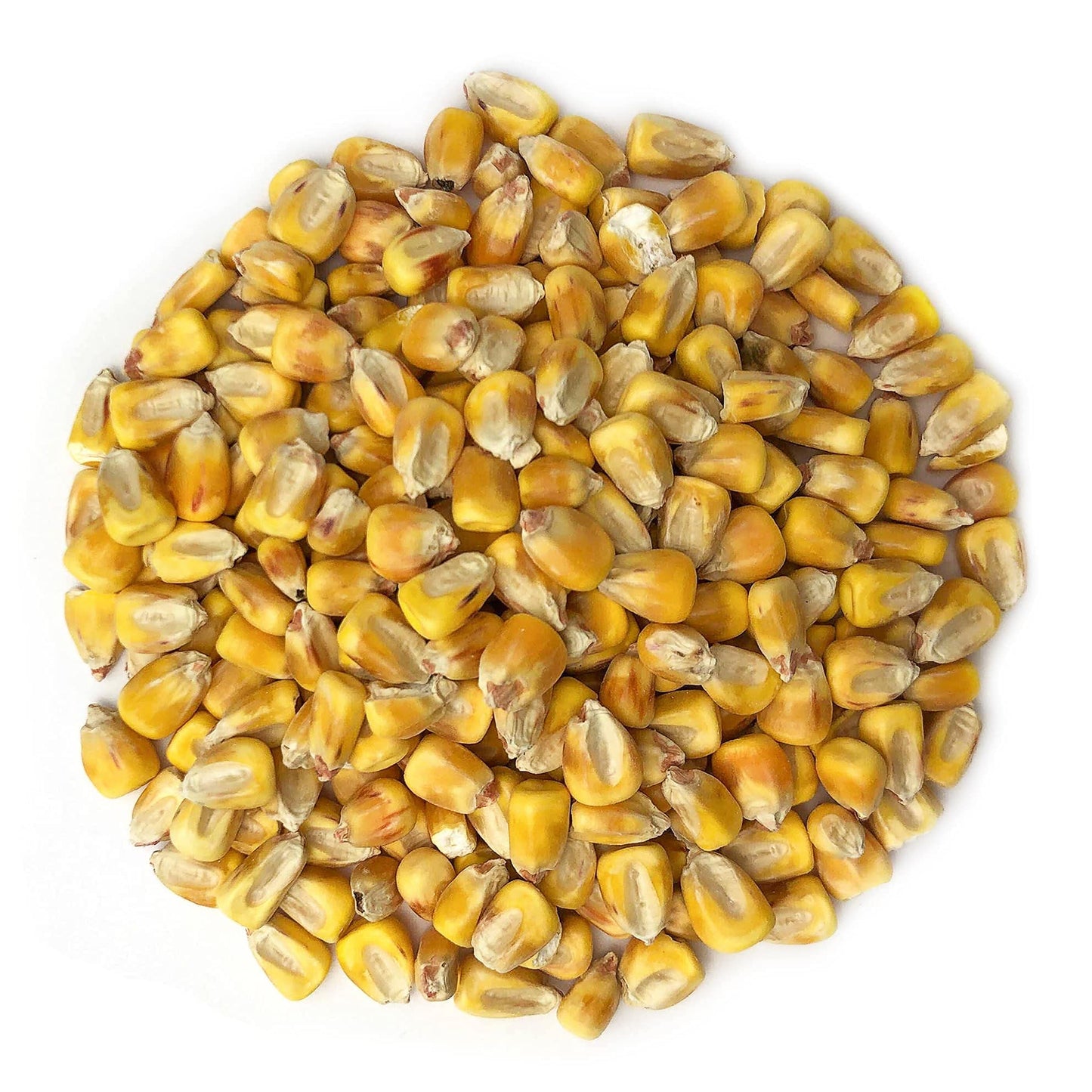 Food To Live Organic Yellow Whole Corn, 12 Ounces - Non-Gmo Maize, Cleaned And Dried Kernels, Vegan, Kosher, Bulk Cereal Grain,