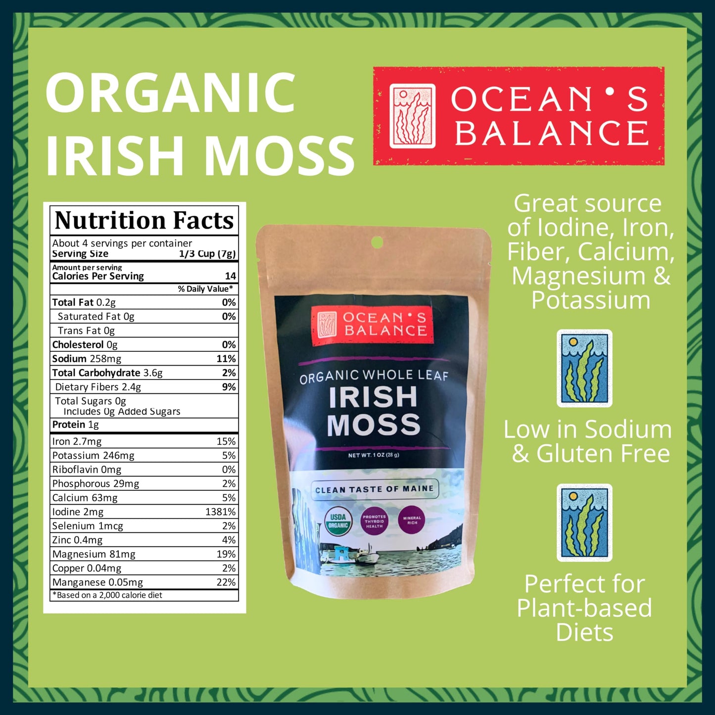 Oceans Balance Organic Irish Sea Moss - Gluten Free, Mineral Rich - 1 oz Bag - Perfect for Keto, Paleo, Vegetarian, or Vegan Diet