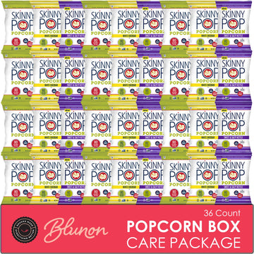 Skinny Pop Popcorn Variety Pack - Snack Bags Assortment Care Package - Care Package Gift Box (35 Count)