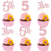 24 PCS 5th Birthday Cupcake Toppers Glitter Five Birthday Cupcake Picks Number 5 Cake Toppers for Baby Shower Kids 5th Birthday 