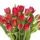 Blooms2Door Fresh Flowers - Fall Collection Red Tulips - 20 Stems - Gift for Birthday, Sympathy, Anniversary, Valentines Day