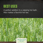 Frontier Co-op Organic Cut & Sifted Oatstraw Green Tops 1lb