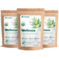Herbaly Wellness Collection Tea - 8 Active Herbs, Organic, Non-GMO, Vegan - 84 Pyramid Tea Bags, Sugar Free - 3 Pack