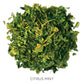 Tea Forte Organic Herbal Tea, Makes 35-50 Cups, 1.76 Ounce Loose Leaf Tea Canister, Citrus Mint