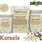 Plant Guru Moringa Seeds Kernel - Clean PKM1 Variety - 2 lbs. Wide Mouth Jar - Non-GMO - Brown