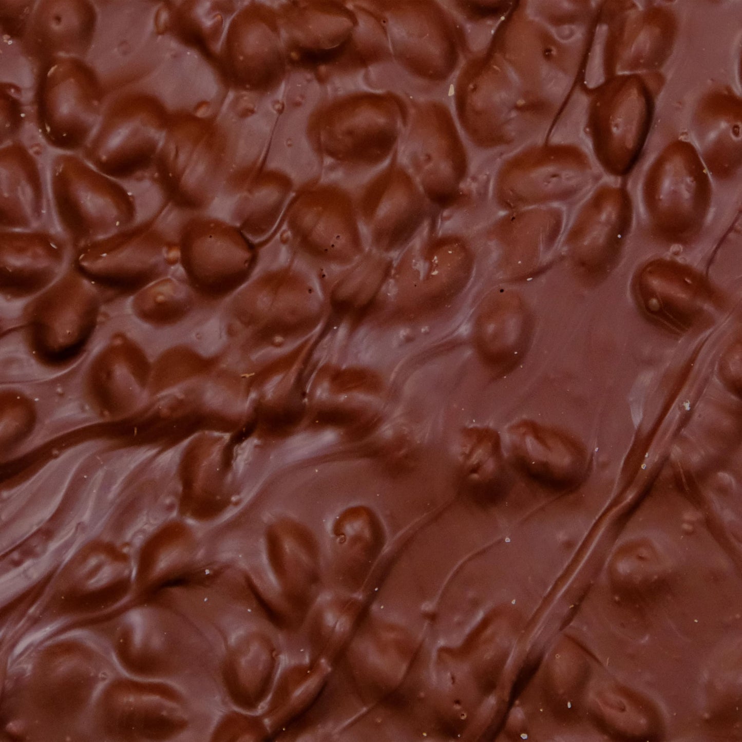 CandyKorner Milk Chocolate Almond Bark – Gourmet Handmade Chocolate with Roasted Almonds – Half Pound (8 Ounces)