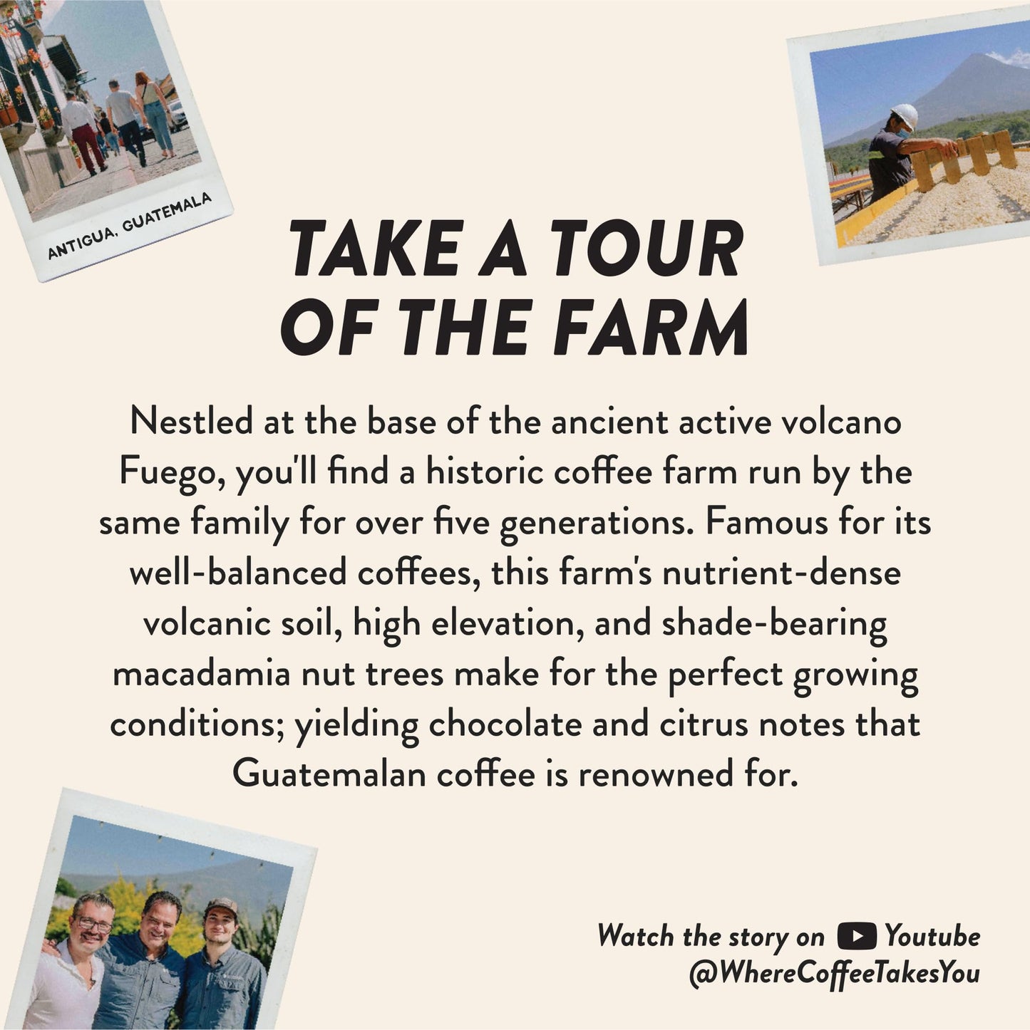 Angelinos Coffee Breakfast in Antigua Coffee Pods - Breakfast Blend Coffee K Cups Compatible  Medium Roast Coffee  Reserve  Chocolate & Caramel Notes  Citrus Hints  Guatemala Origin  24 Count - enhanced Breakfast Blend Coffee for Keurig Machines