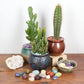Cherry Tree Collection 1/2 Pound Tumbled Polished Stones  1/2'' - 1'' Size Nuggets  Crystals For Decoration, Healing, Reiki, Cha