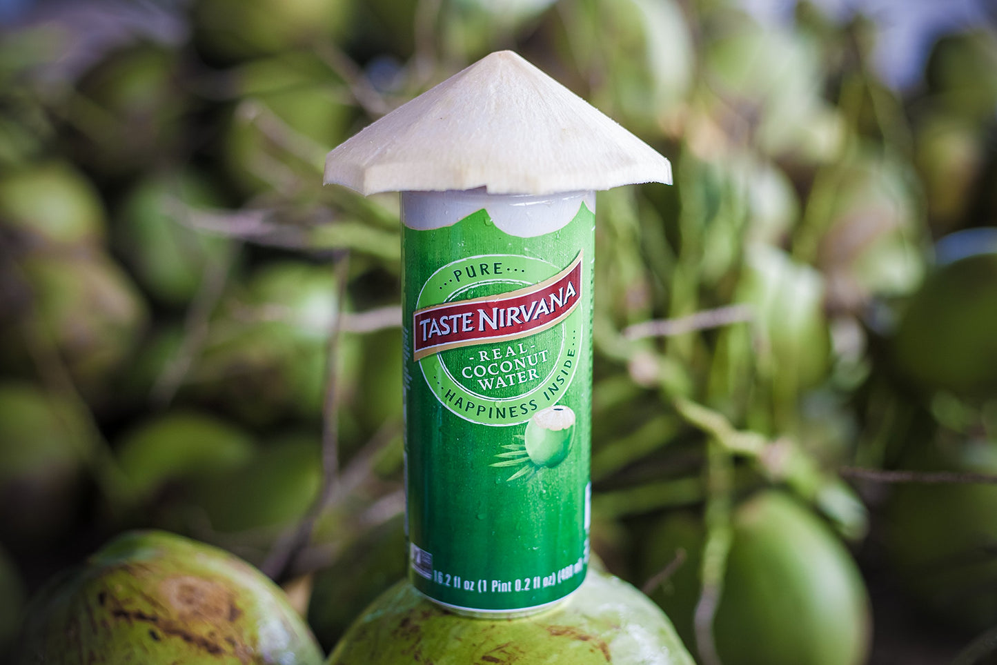 Taste Nirvana Real Coconut Water, 16.2-Ounce (Pack of 12) ( Value Bulk Multi-pack)