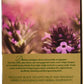 Greenfield Spring Melody Herbal Tea Collection Finely Selected Speciality Tea 100 Double Chamber Teabags With Tags In Foil Sachets