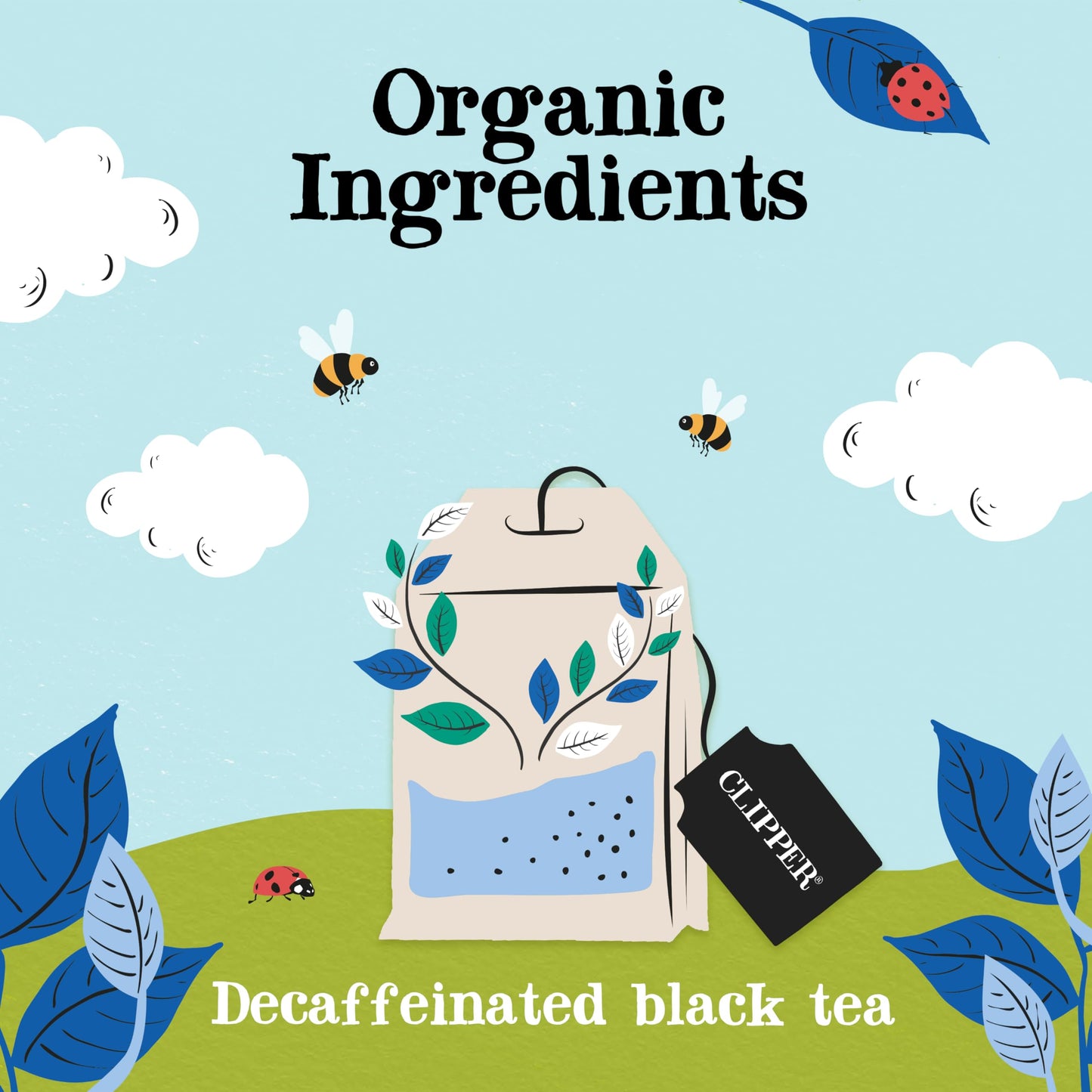 Clipper Tea Organic Decaf, Fairtrade, 80 Unbleached Plastic-Free Bags, 8.2 oz - Natural, Fair & Delicious Tea, 1 Pack