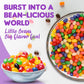 Candylish Classic Jelly Beans - Assorted Fruit Flavors - 2 LB Bulk Candy Bag - Individually Wrapped Party Favors
