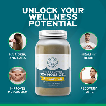 Herbal Vineyards Wildcrafted Irish Pineapple Sea Moss Gel 16 Oz - Organic Seamoss Gel Made With Dried Seaweed & Fresh Sea Vegeta