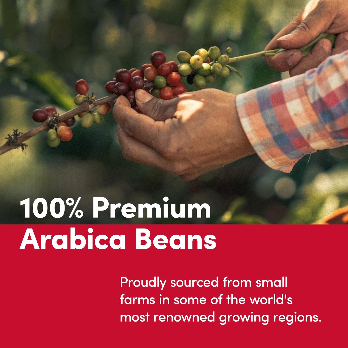 Tim Hortons Apple Cinnamon Fritter 12ct KCUPs