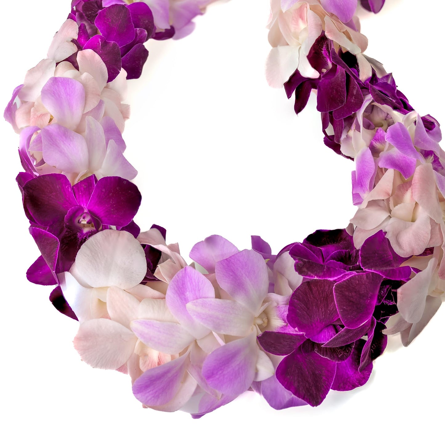 Misteen Gorgeous Orchids: Long-Lasting Leis Made Of Fresh Cut Purple, Lavender, And Pink Orchids, For Graduations, Party Decorat