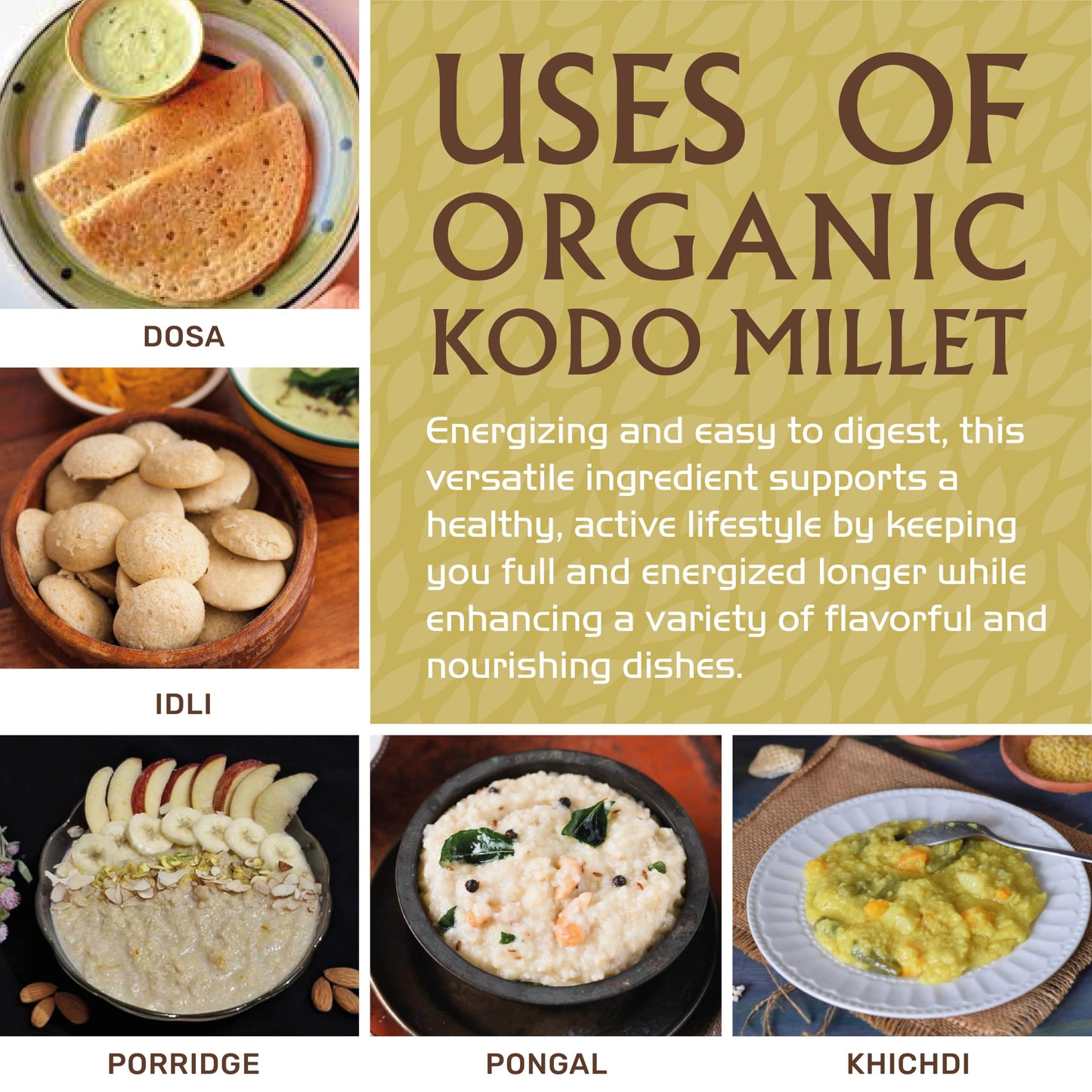Jiva Organics Kodo Millet 2 Lb Bag | Whole Grain, Gluten-Free & Organic | High Fiber, Protein-Rich Superfood For Healthy Indian