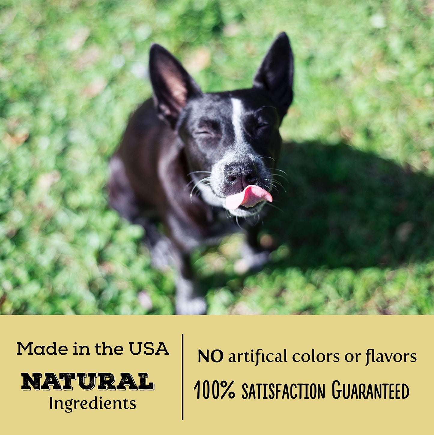 Exclusively Dog Carob & Peanut Buter Sandwich Cremes Cookies - All Natural Dog Treats, No Animal Byproducts, Baked In The Usa, I