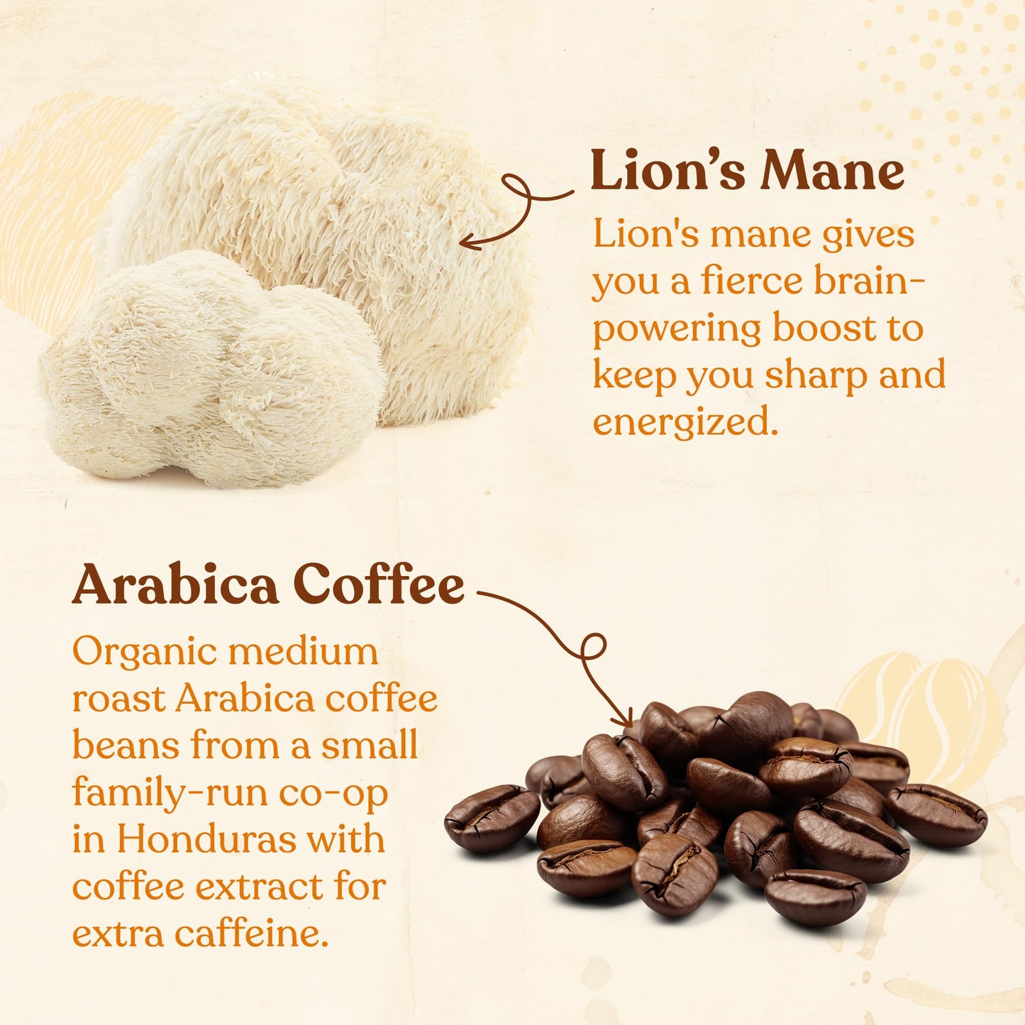 Four Sigmatic Focus Coffee Pods Compatible with Nespresso Original | Organic Medium Roast Espresso with Added Focus | Mushroom Coffee Enhanced with Lions Mane | Medium Roast 10ct