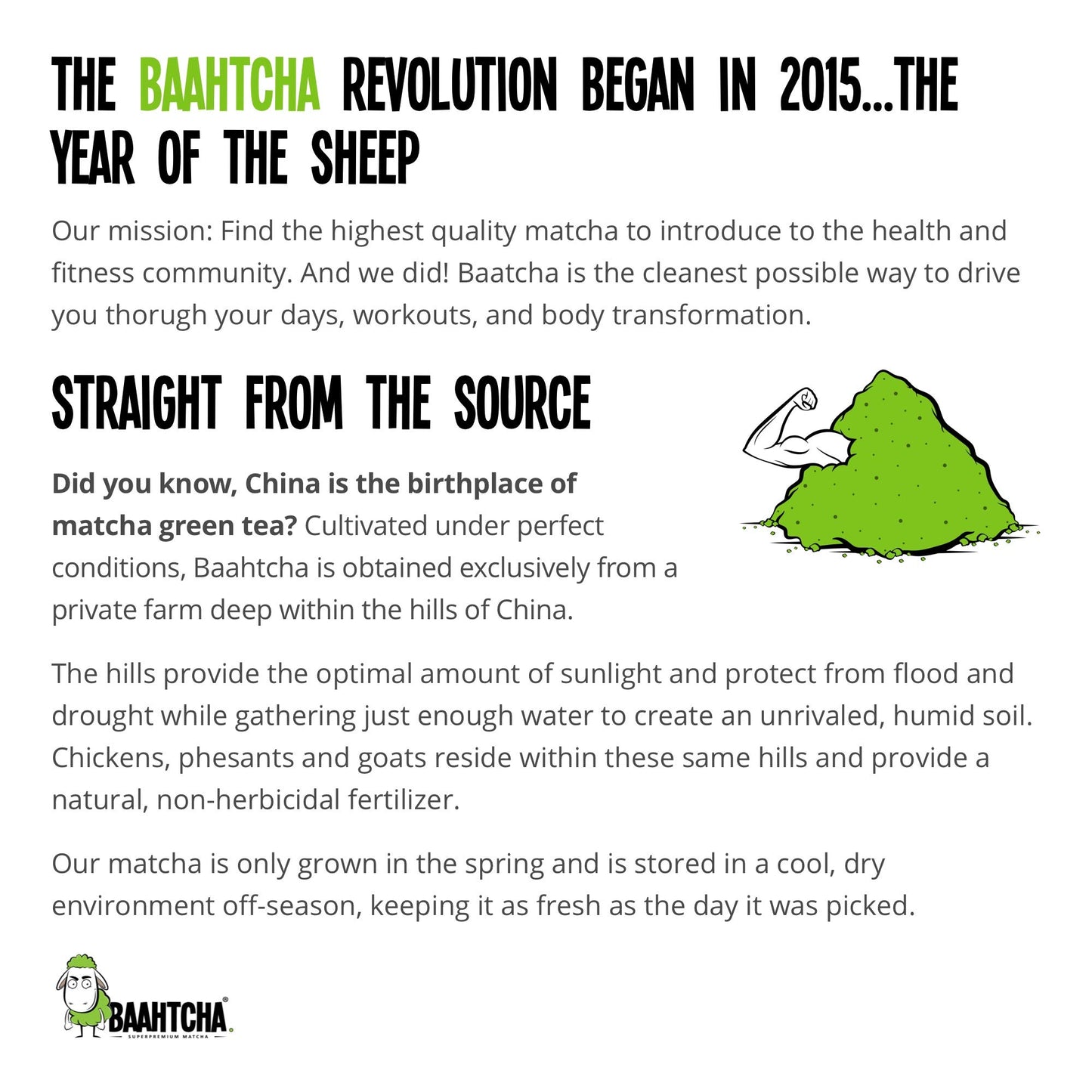 BAAHTCHA Organic Matcha Green Tea Powder - Culinary Grade, Vegan, Keto Friendly, 100g (3.52 oz)
