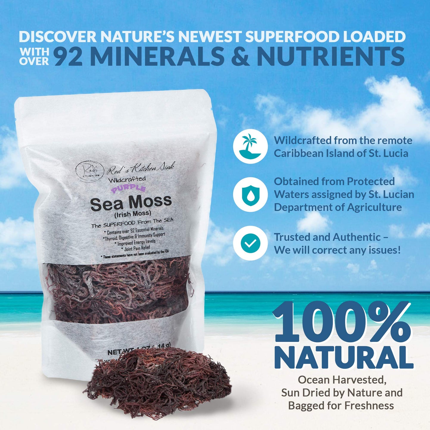 Reds Kitchen Sink Purple Sea Moss - Wildcrafted from St. Lucia | 16oz Makes ~200oz Sea Moss Gel | 100% Natural & Raw | Supports