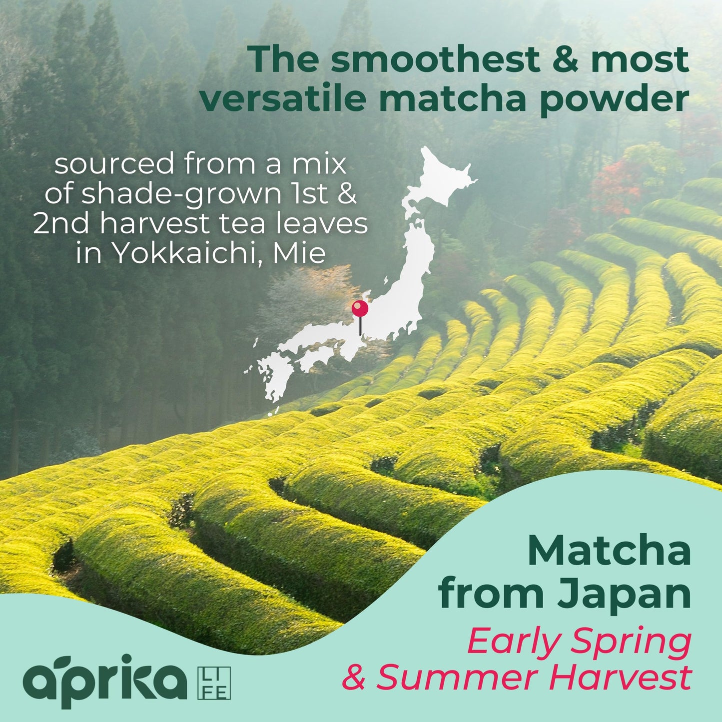 AprikaLife Organic Matcha Green Tea Powder - Culinary Grade - 1.05 oz (30g) - Ideal for Lattes, Smoothies, Desserts