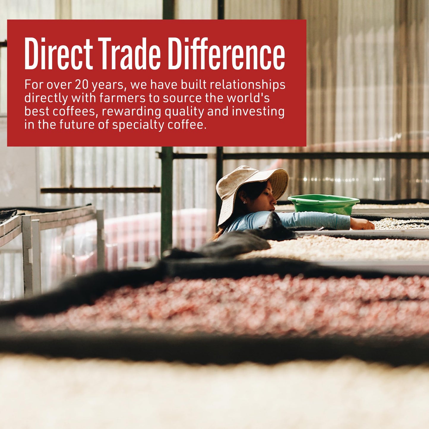 Intelligentsia Coffee, Light Roast Whole Bean Coffee - House Blend 36 Ounces (3 Bags of 12 Ounces)