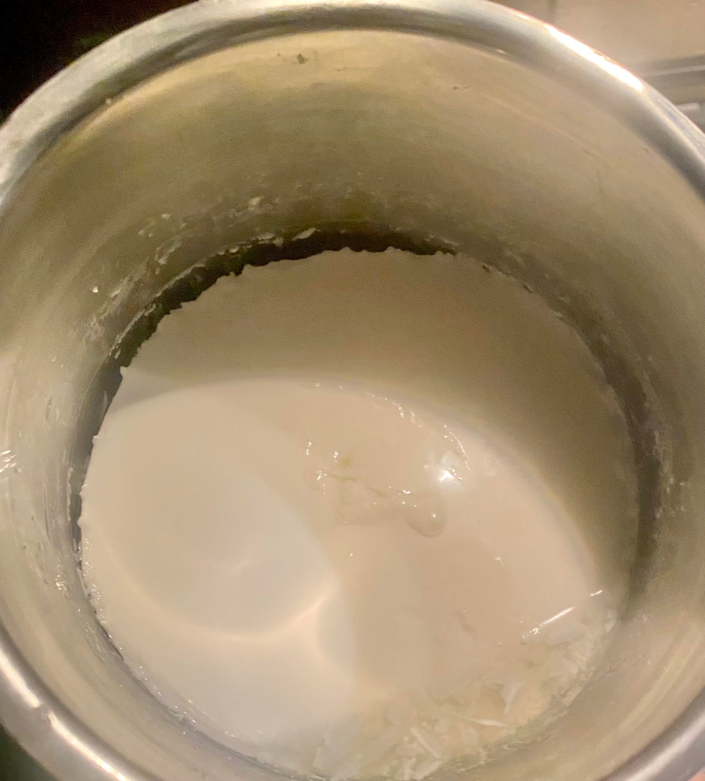 LyoPro Y PLUS+ Yogurt Culture 50 CXU Packet with free recipe