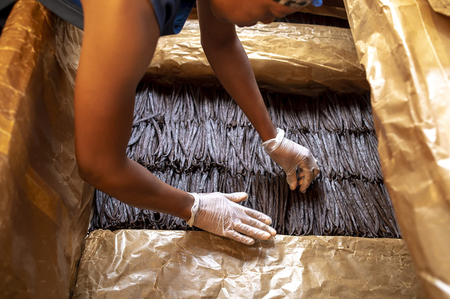 Kiddu Premium Soft Vanilla Beans - Grade A/B, Whole Beans, 5-7 inches, Ideal for Extract and Everyday Use