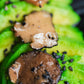 La Rustichella - Black Sliced Truffle - 100% Made In Italy | Vegan, Gluten-Free, Cholesterol-Free (9.88 Oz (280 Gr))