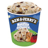 Ben & Jerrys Netflix & Chillld Peanut Butter Ice Cream Pint Non-GMO 16 oz