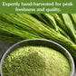 Ancient Roots Barley Grass Powder - 100% Pure, Non-GMO, Gluten-Free - 10.5 oz Resealable Bag