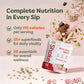 310 Nutrition All-In-One Meal Replacement Shake Powder - Plant-Based Protein Protein Powder with High-Fiber, Probiotics, Digesti
