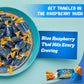 Blue Raspberry Jolly Ranchers Hard Candy - Original Flavor - 1 LB Bulk Bag (Approx. 75 Pieces) - Individually Wrapped Tart & Swe