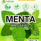 Menta Seca (Dried Mint Leaves Spearmint) 4Oz |%100 Natural, Non-Gmo, Gluten Free, Crushed Peppermint For Tea & Seasoning +Tea St