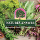 Natures Answer Slippery Elm Extract  2000 mg  2 fl oz (60 ml)
