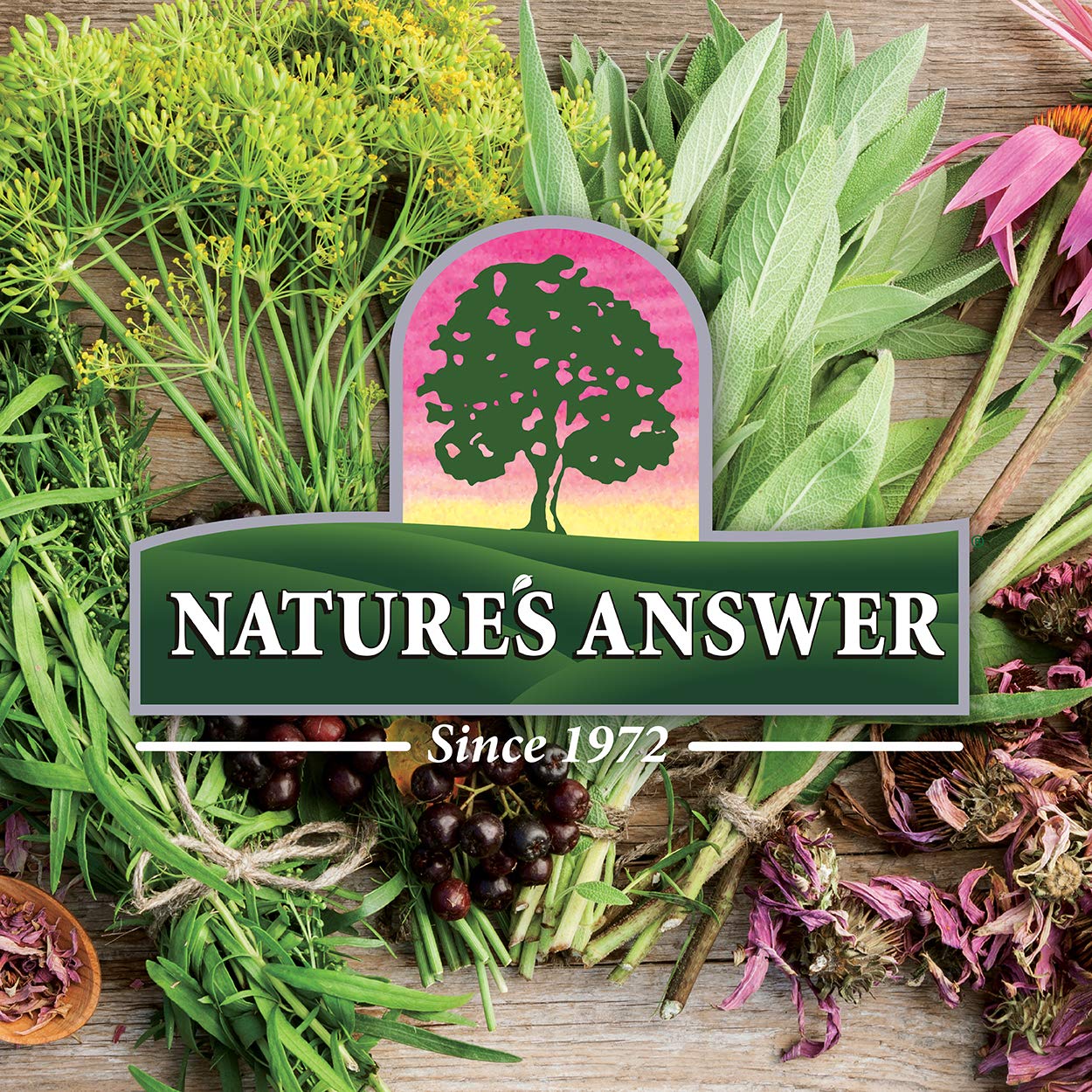 Natures Answer Slippery Elm Extract  2000 mg  2 fl oz (60 ml)