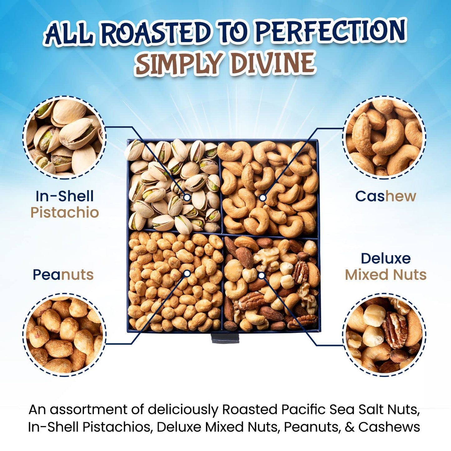 Farm Fresh Gourmet Mixed Nuts Gift Set | Nut Mix Assortment Of Sea Salted Nuts, Pistachios, Peanuts, Cashews & More | New Year,