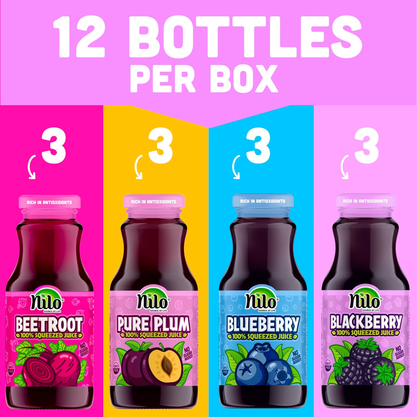 Nilo Variety Pack | 100% Squeezed Juice Blackberry Blueberry Plum Beetroot | No Sugar Added | Non Gmo | Not From Concentrate | 8