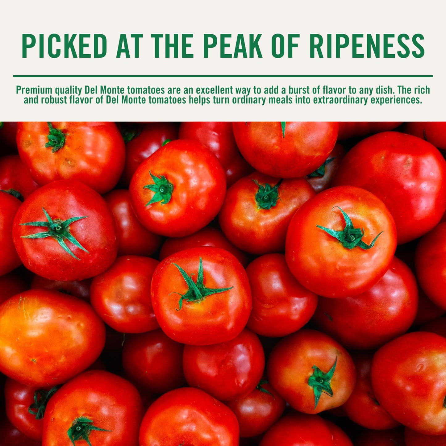 Del Monte Petite Canned Hot Diced Tomatoes with Jalapeno & Habanero, 14.5 Ounce (Pack of 12)