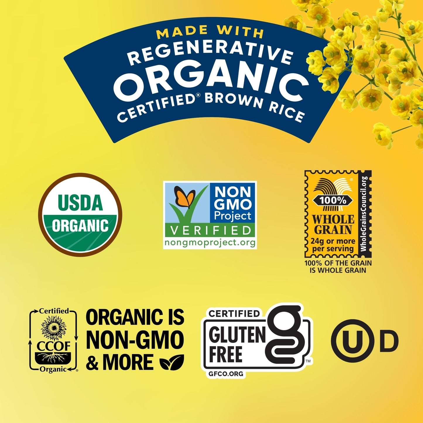 Lundberg Organic White Cheddar Rice Cake Minis, 5 Ounce, Gluten-Free, USDA Certified Organic, Non-GMO Verified, Whole Grain Brow