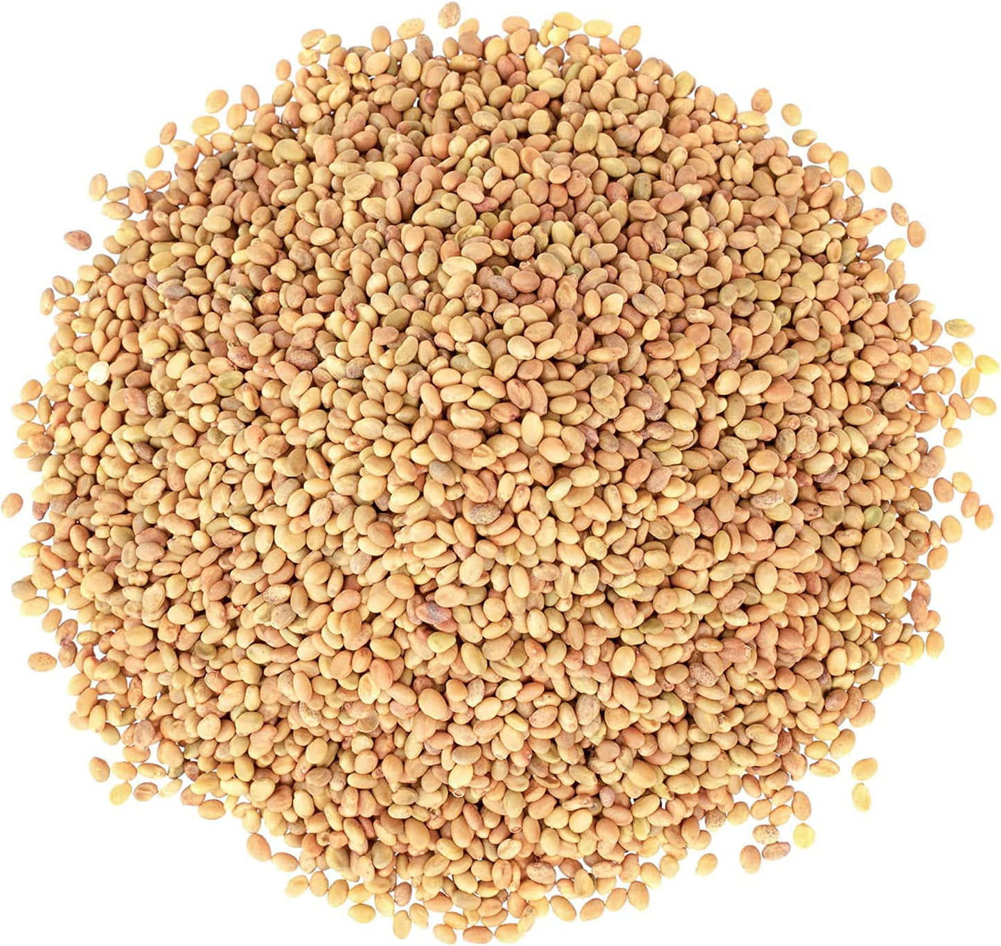 Food To Live Clover Seeds For Sprouting, 4 Ounces - Pure, Vegan, Kosher, Bulk. Edible Seeds. Rich In Vitamin C. High Germitation