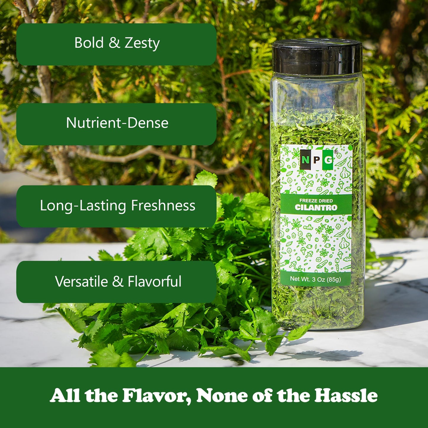 Npg Freeze-Dried Cilantro Leaves 3 Oz, Fresh Dehydrated Coriander Flakes, Dhania Leaves, Lime Seasoning, Mexican Spices, Perfect