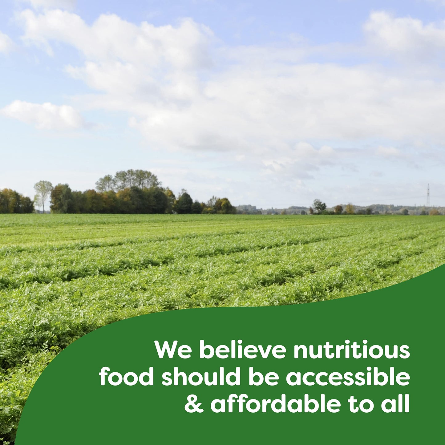 Knorr Rice Sides Chicken Broccoli Rice Dish, 5.5 Oz, Pack of 12, No Artificial Flavors, No Preservatives, No Added MSG