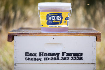 Coxs Honey - Bulk Honey Raw Unfiltered, 12 LBS | 100% Pure Clover Delicious Honey - Product of the USA