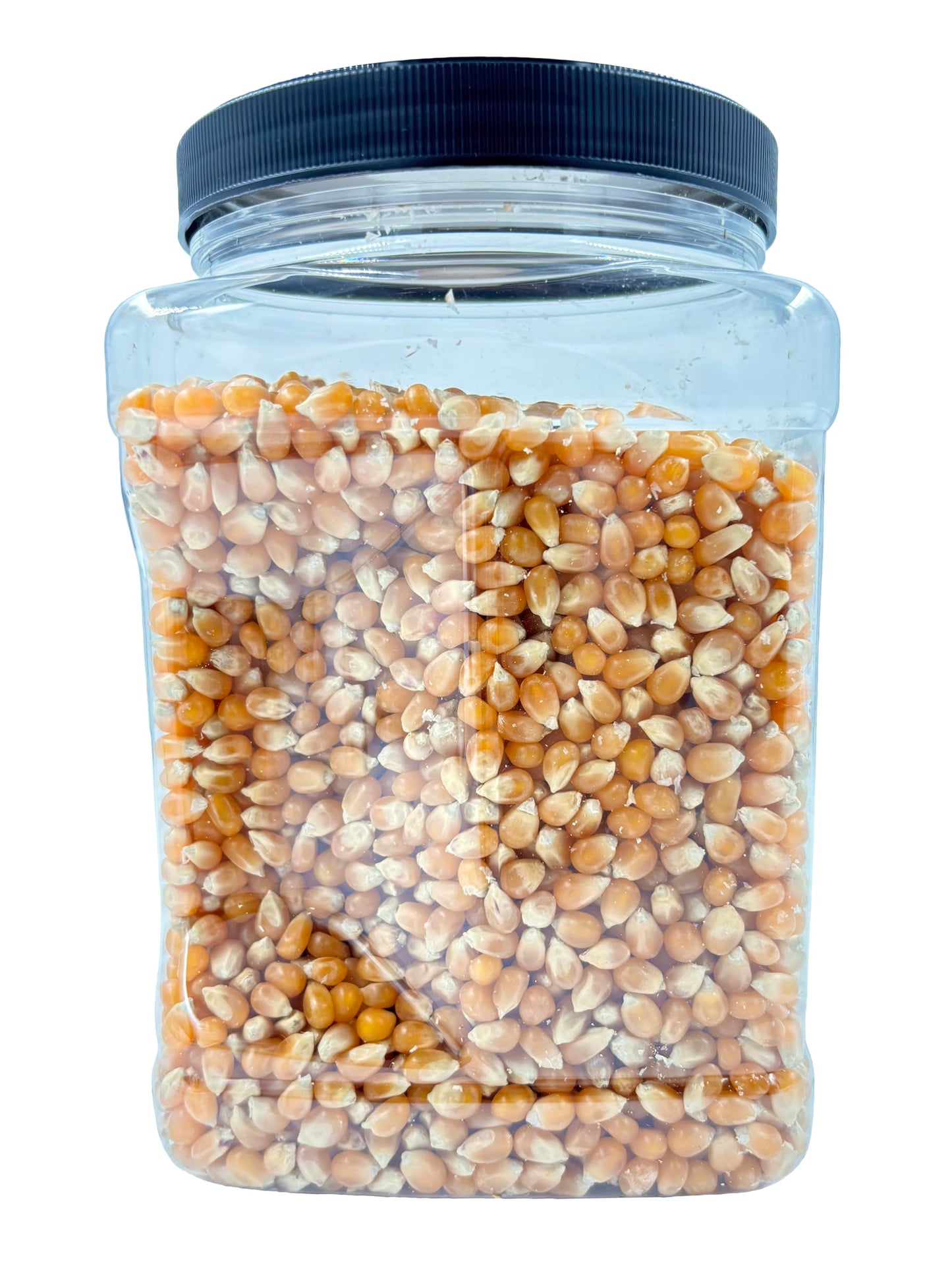 Popcorn Kernels by Dashers Spice & Beans | Non-GMO | Large Butterfly Kernels | 48 oz.