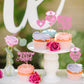 Ercadio 24Pcs Nurse Cupcake Toppers Nursing School Graduation Cupcake Picks Thank You Mom Is An Angee For Medical Nurse Themed B