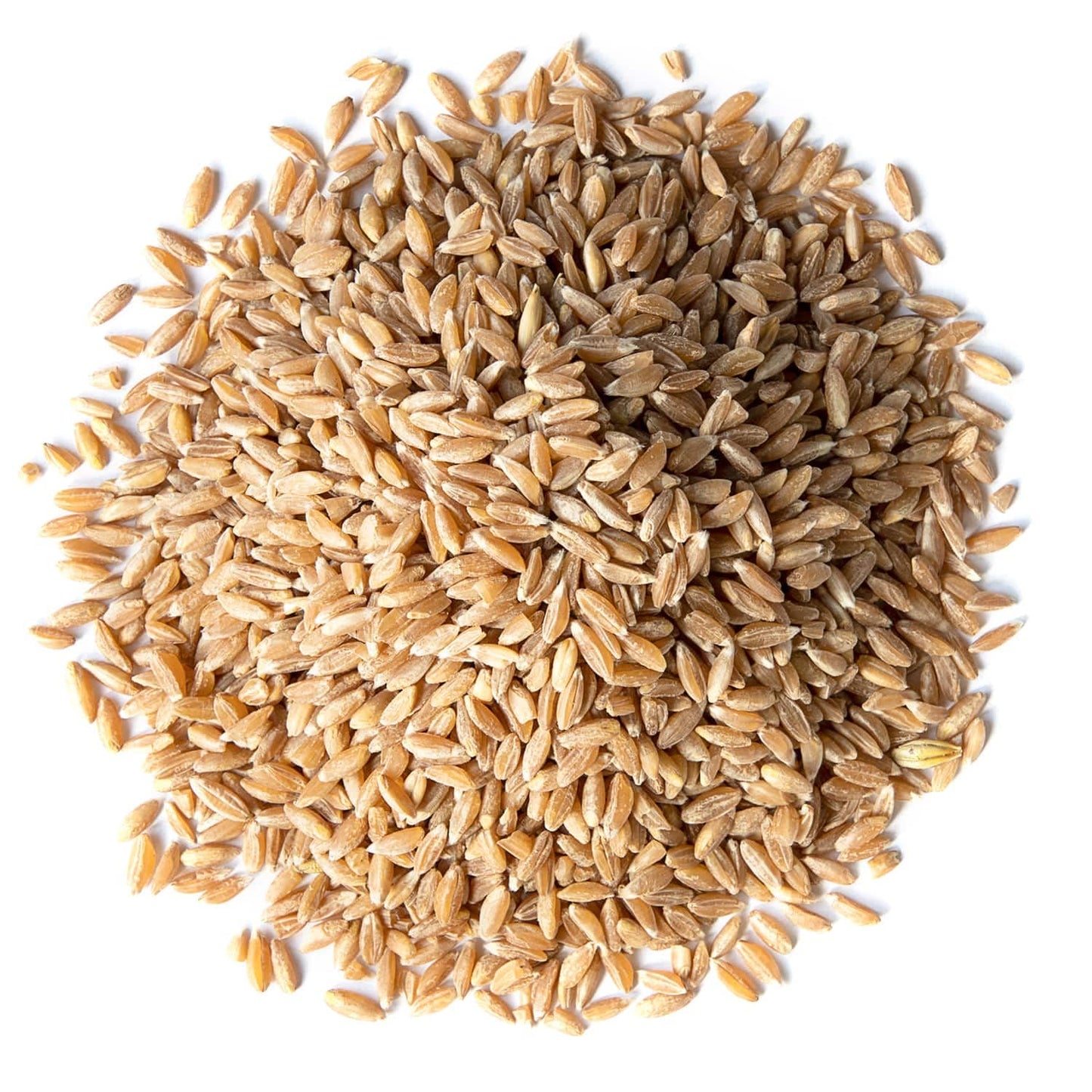 Food To Live Organic Spelt Berries, 15 Pounds - Non-Gmo, Kosher, Whole Grain, Non-Irradiated, Vegan Superfood, Bulk, Product Of